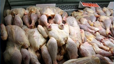 حقن «الورك بالماء وبيضة الثلج» أحدث طرق غش لحوم الدواجن