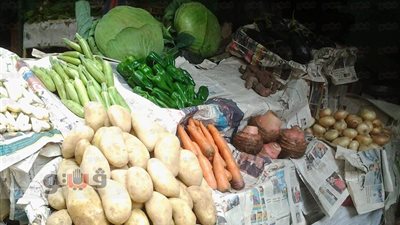 بالصور.. تباين أسعار الخضراوات وارتفاع الدواجن والأسماك بالجيزة.. الطماطم والبصل والبطاطس بـ 5 جنيهات.. الخيار بـ8.. الجوافة والفراولة بـ10.. الدواجن البيضاء بـ 28.. والسمك البلطي يسجل 30 جنيهًا
