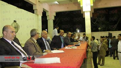 النتائج الأولية لفرز 263 لجنة عامة: 17 مليون صوت للسيسي