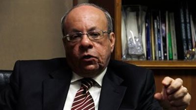 وحيد عبد المجيد: نسبة المشاركة في الانتخابات منطقية