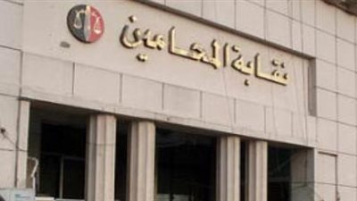 رفض الطعون المطالبة بوقف انتخابات «المحامين الفرعية»