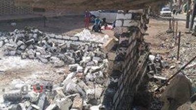 بالصور.. حملة لإزالة التعديات على أملاك الري بالمنصورة