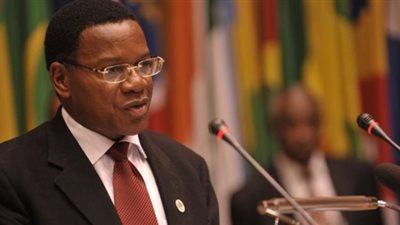 تنزانيا: نتمنى أن تستأنف مصر نشاطها بالاتحاد الأفريقى عقب فوز 