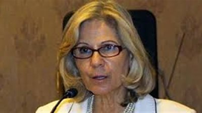 أبوغزالة: انتخابات المصريين بالخارج كانت جيدة التنظيم والإعداد