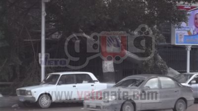 بالصور.. الرياح تقتلع أشجار الحى اللاتينى بالإسكندرية