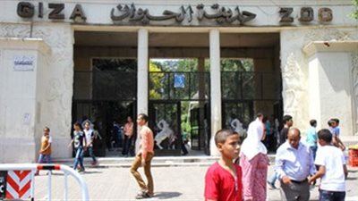 بالفيديو.. رئيس حدائق الحيوان: الزوار يشوهون صورتها