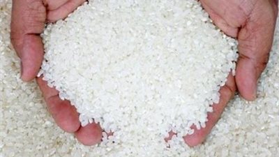 «صناعة الحبوب»: انخفاض سعر الأرز إلى 4 جنيهات