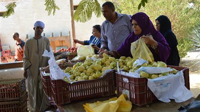 بالصور.. منفذ لبيع الخضر والفاكهة بأسعار مخفضة بالوادى الجديد