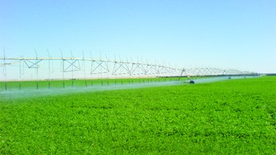 5.2 مليار دولار حجم الاستثمارات الإماراتية بمصر