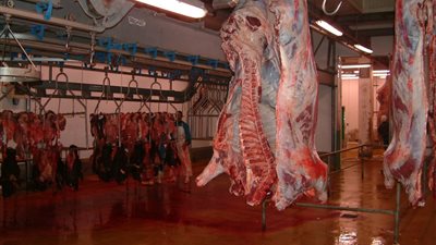 ضبط جزار يبيع لحوما فاسدة بالإسماعيلية