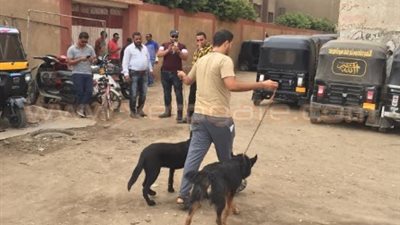 بالصور.. إخلاء ساحة خلف مدرسة بشبرا الخيمة من التكاتك والكلاب