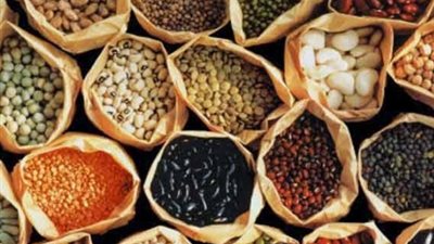 الفول السائب يسجل 4 جنيهات بالجيزة