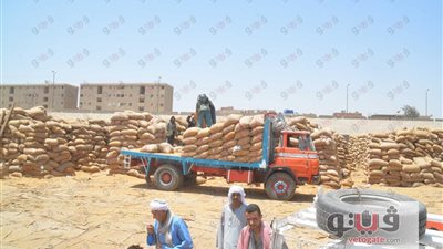 محافظ المنيا يتابع أعمال توريد القمح بالشونة المركزية