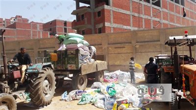 بالصور.. حملة للرقابة الإدارية بالغربية على شون وصوامع القمح