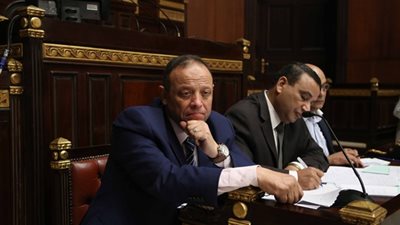 برلماني: العاصمة الإدارية ستصبح «جنة على الأرض»