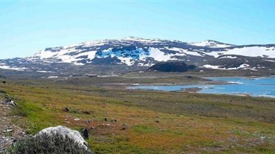 النرويج تتراجع عن منح 20 مترا لفنلندا لأسباب دستورية