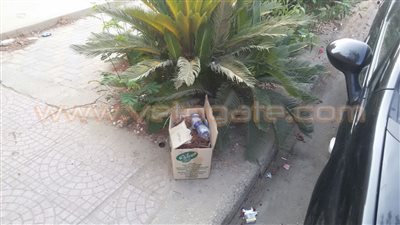 بالصور.. أهالي التجمع الخامس يشكون من عدم وجود سيارات القمامة