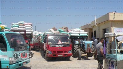 بالصور.. مدير تموين كفرالشيخ يتفقد الشون والصوامع