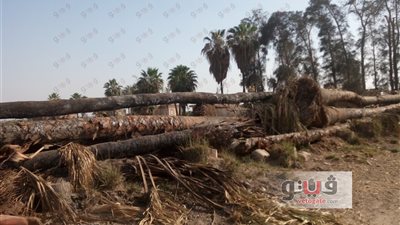 بالفيديو.. استياء بالشرقية بعد إزالة مزرعة «الملك فاروق»