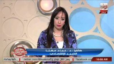 خبير اقتصادي: الأموال المهربة لن تعود