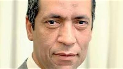 أشرف بدر: من حق «السيسي» مقاضاة البعثة الدولية