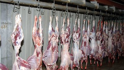 «بيطري الجيزة»: ذبح 20 ألف رأس ماشية خلال الشهر الماضي