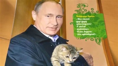 بالصور.. بوتين يحمل «قط» على تقويم 2017