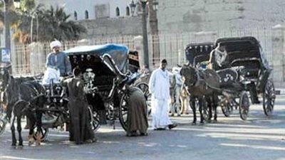 منع عربات الحنطور غير المرخصة من التواجد بالمناطق السياحية في الأقصر