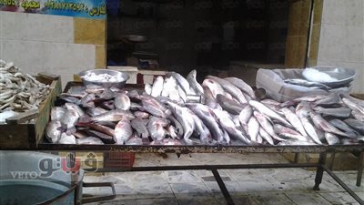 بالصور.. ثبات أسعار الخضراوات والفواكه وارتفاع في الأسماك بأسواق شبرا