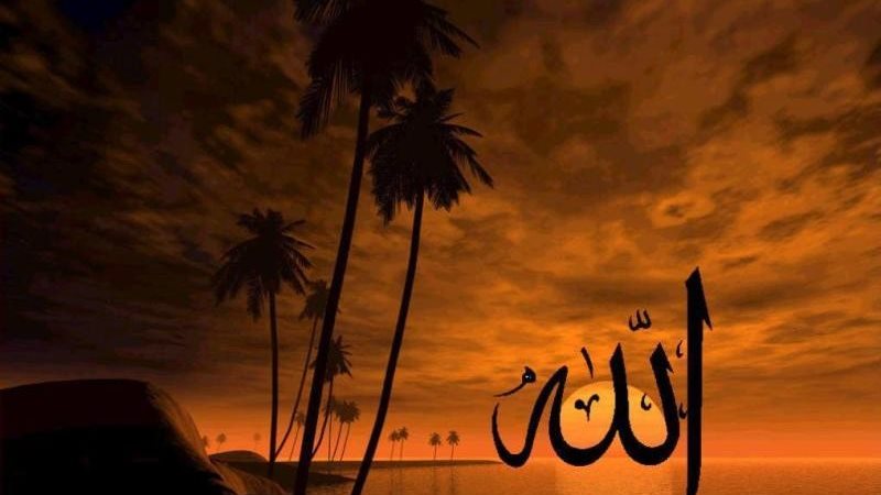 فيتو