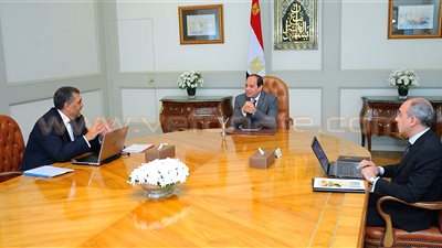 وزير قطاع الأعمال العام للسيسي: 573 مليون جنيه أرباح الشركات في 2016