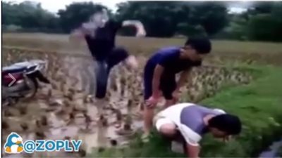 بالفيديو.. أطرف المقالب التي يقع فيها أشخاص لا ذنب لهم