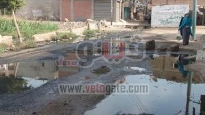 بالصور.. قرى الشرقية تعانى الفقر والإهمال وتواجه الغرق