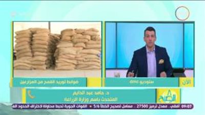 بالفيديو.. «الزراعة»: متوسط إنتاج القمح أعلى من العام الماضي