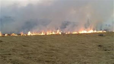 «البيئة» تواصل جهود مواجهة تلوث الهواء.. مستشارة الوزير تتفقد أعمال تدوير قش الأرز.. فحص عوادم السيارات وحملات توعية بالغربية.. تفتيش 10 مسابك بالدقهلية.. والسيطرة على 59 حريقا للمخلفات بالب