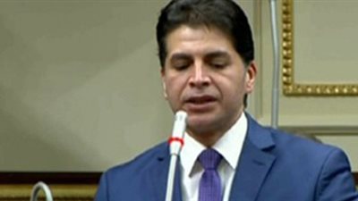 جلال عوارة: السيسي يدعم عمل لجنة تقصي الحقائق في فساد القمح