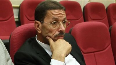 نائب يطالب بمحاكمة الحكومة بسبب «ورد النيل»