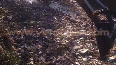 بالصور.. انتشال 118 حمارا مسلوخا بترعة في كفر الشيخ