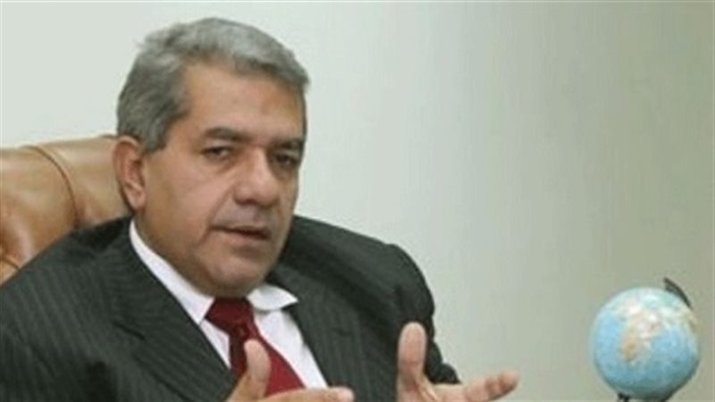 عمرو الجارحى وزير