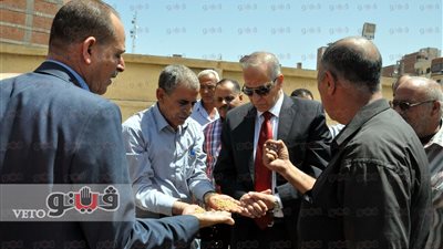 بالصور.. توريد 62 ألف طن قمح لصوامع وشون القليوبية