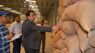 بالصور.. توريد 29 ألف طن قمح للصوامع والشون في سوهاج