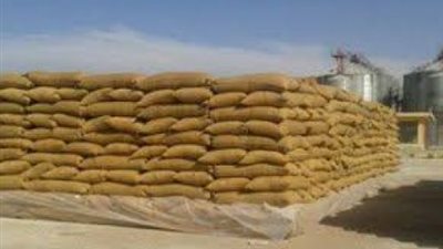 كاميرات مراقبة لمتابعة تخزين القمح في شون الفيوم