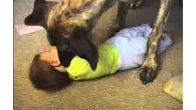 كلب يعقر طفلة حتى الموت بالغربية