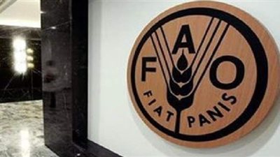 الأمم المتحدة: الجوع يتفاقم وتوقعات قاتمة لعام 2020