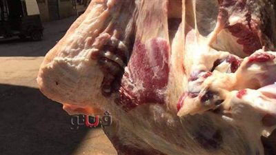 ضبط ومصادرة 17 كيلو لحوم مذبوحة خارج المجزر  بالغربية