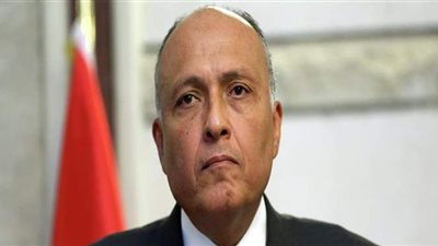 وزير الخارجية عن سد النهضة:  مصر لديها وسائل للدفاع عن مصالحها