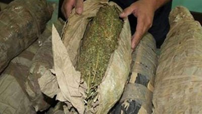 إحباط ترويج 100 كيلو بانجو على المتعاطين بالإسماعيلية