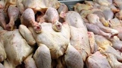 مصادرة 2 طن دواجن فاسدة داخل ثلاجه في أبو النمرس