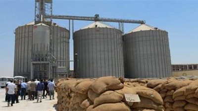 القابضة للصوامع : تسويق مليون و600 ألف طن من القمح في الموسم الجديد