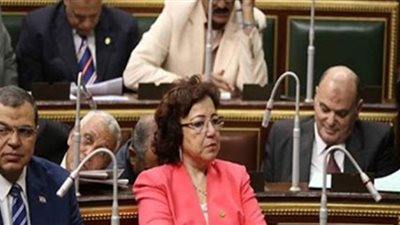 طلب إحاطة بشأن ضعف الرقابة على سوق الدواجن والأدوية منتهية الصلاحية